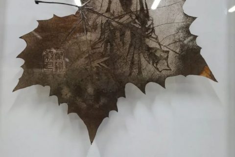 設計城好物甄選 | 葉雕——刻在葉子里的世界